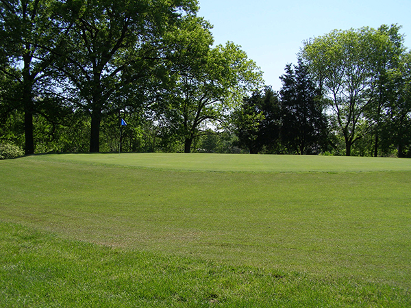 Assorted images showcasing the Ruth Park Golf Course.