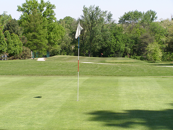 Assorted images showcasing the Ruth Park Golf Course.