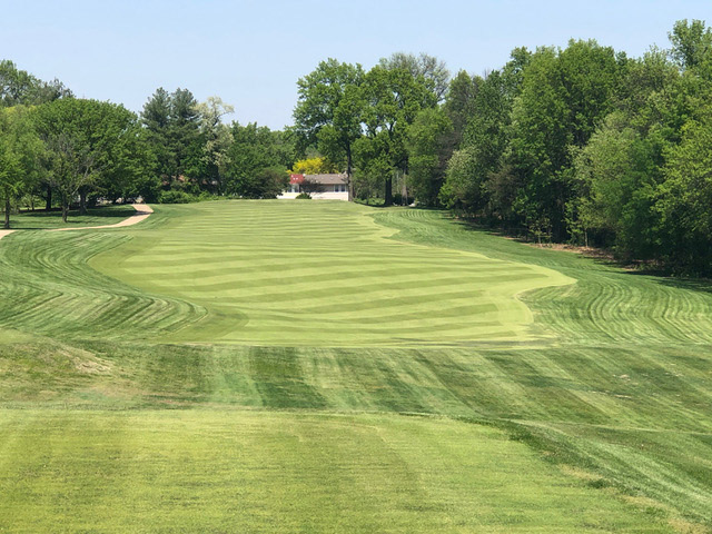 Course greens with trees on both sides