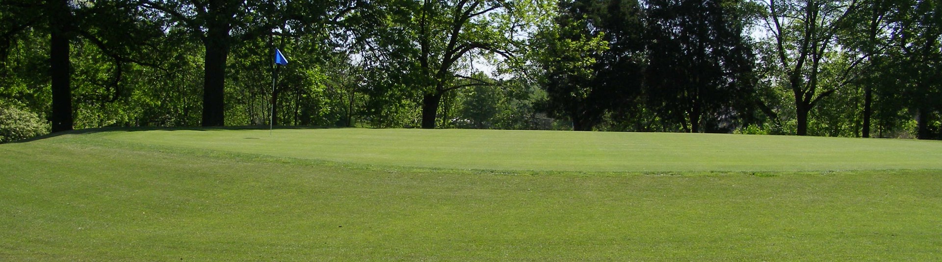 Golf course green with trees and blue flag